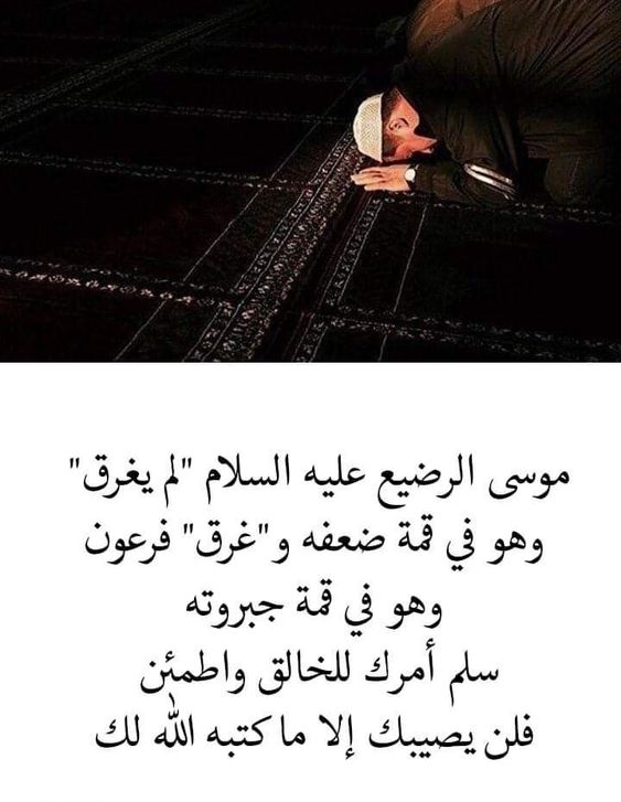 المرتضى عليه السلام من القاب الامام علي عليه السلام روحي له الفداء ذكرى استشهاد الامام عليه عليه السلام 21 شهر رمضان Islamic Calligraphy Arabic Calligraphy Art