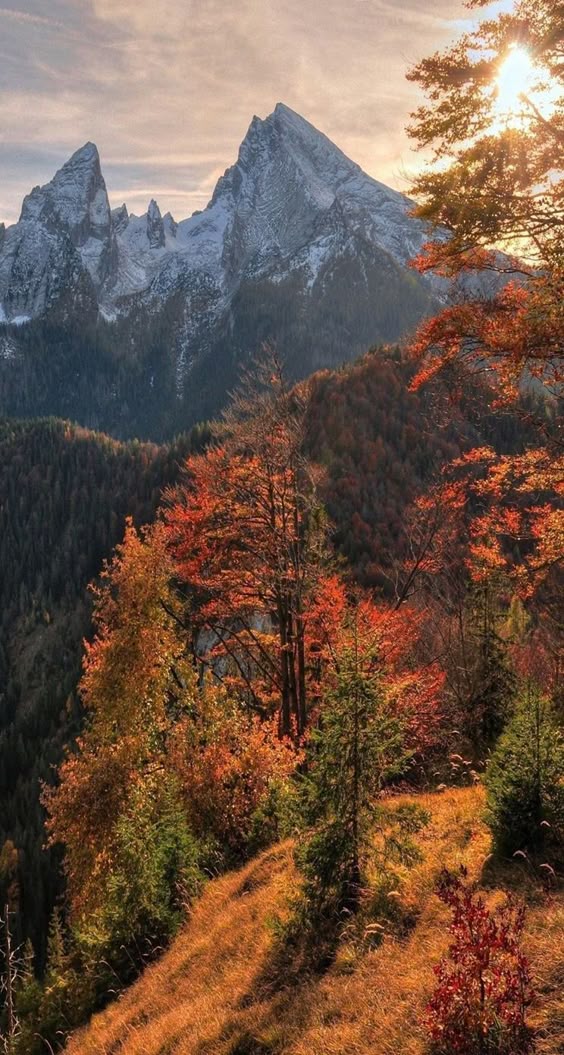 wall-paper-mountain