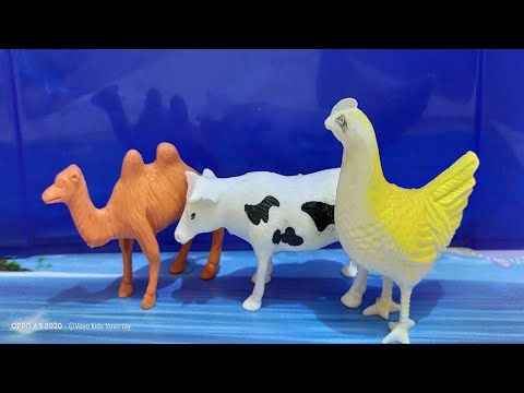 Animals For Kids To Learn English Learn Animals Names Farm Wild Animals For Kids عالم الحيوان Playmobil Kids Toys ج Animals For Kids Animals Baby Animals