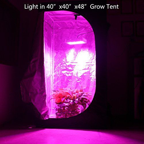 Higrow 1000w Double Chips Led Grow Light Full Spectrum Grow Lamp With Rope Hanger For Indoor Greenhouse Hydroponic P Led Grow Lights Grow Lights Plant Lighting