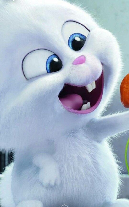 The Secret Life Of Pets In Theaters Reald 3d And Imax 3d July 8 Secret Life Pets Movie Secret Life Of Pets