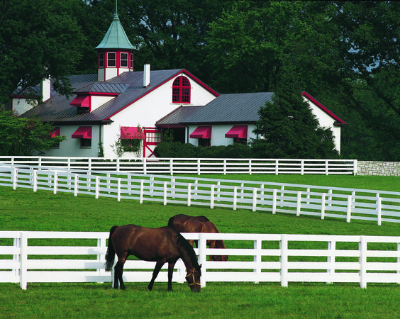 Bluegrass Half Lexington Ky Kentucky Horse Farms Kentucky