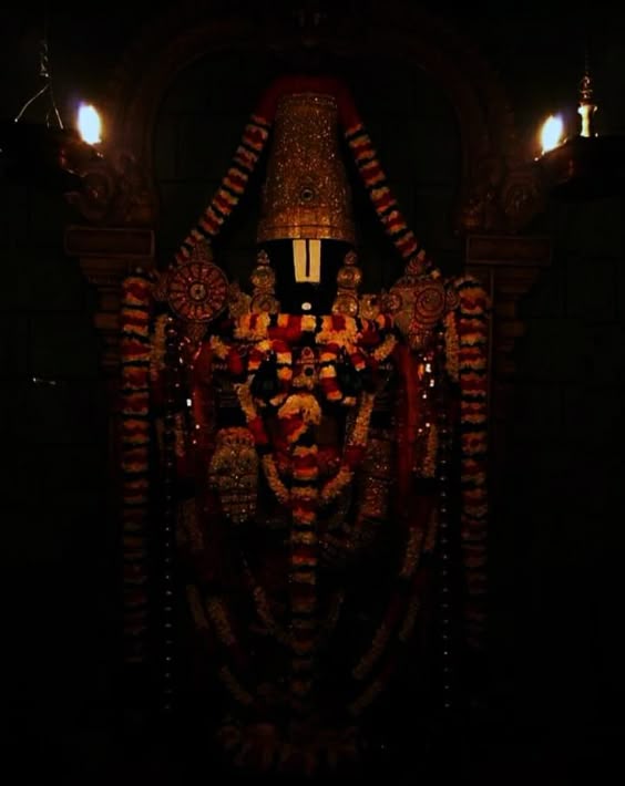 janavar-photo-3d