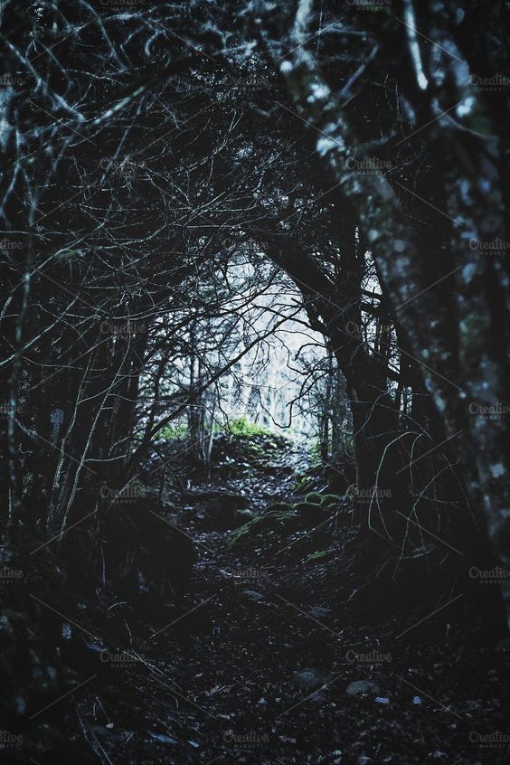 Dark stock photo containing photos and art