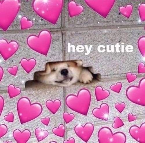 pics Cute Wholesome Love Memes For Him pinterest