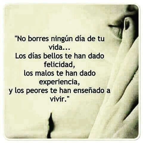Presente Pasado Futuro Vivirelpresente Mindfulness Hooponopono Carpediem Cre Frases Sabias Citas De Inspiración Español Frases De Sabiduria