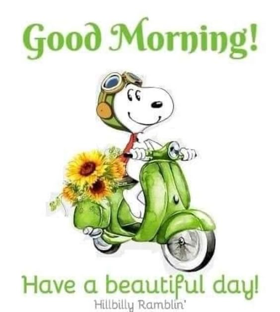 10 Fun, Loving And Sweet Good Morning Images
