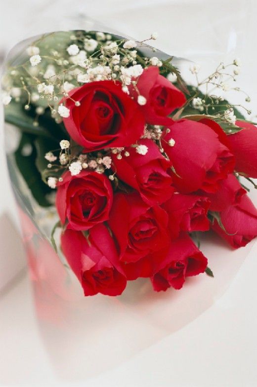 200 pictures of roses best free roses photos pics roses valentines day valentines day pictures valentines flowers
