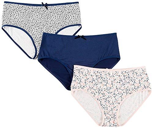 microfiber brief panty underwear new Lady Princess Intimates 3 pk
