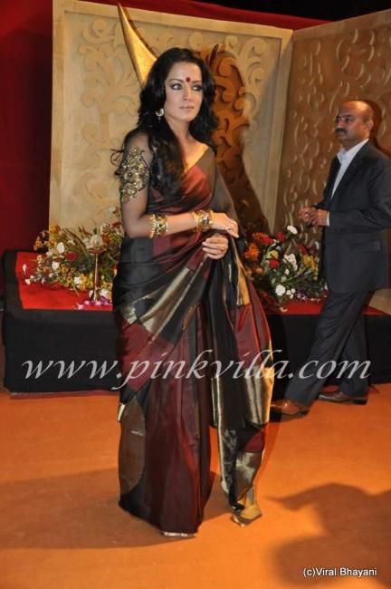 Celina jaitley at apsara awards 2010 | PINKVILLA
