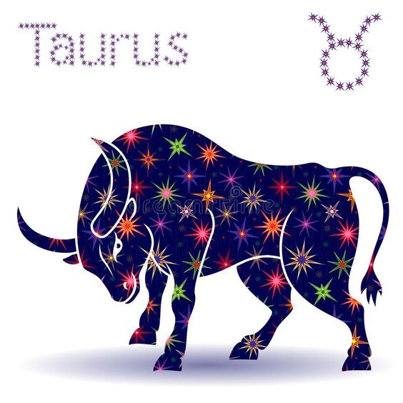 Zodiac sign Taurus stencil. Zodiac sign Taurus, hand drawn vector stencil with stylized stars isolated on the white background vector illustration