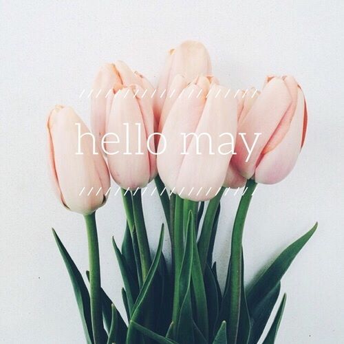 Hello May month may quotes hello may welcome may may images may image quotes