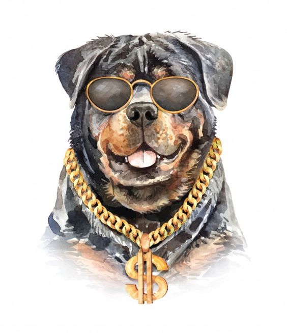 Premium Vector | Rottweiler dog watercolor with chain necklace.