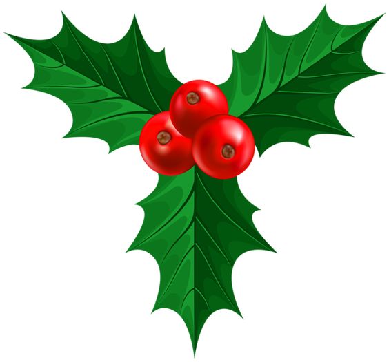 Christmas Holly PNG Image