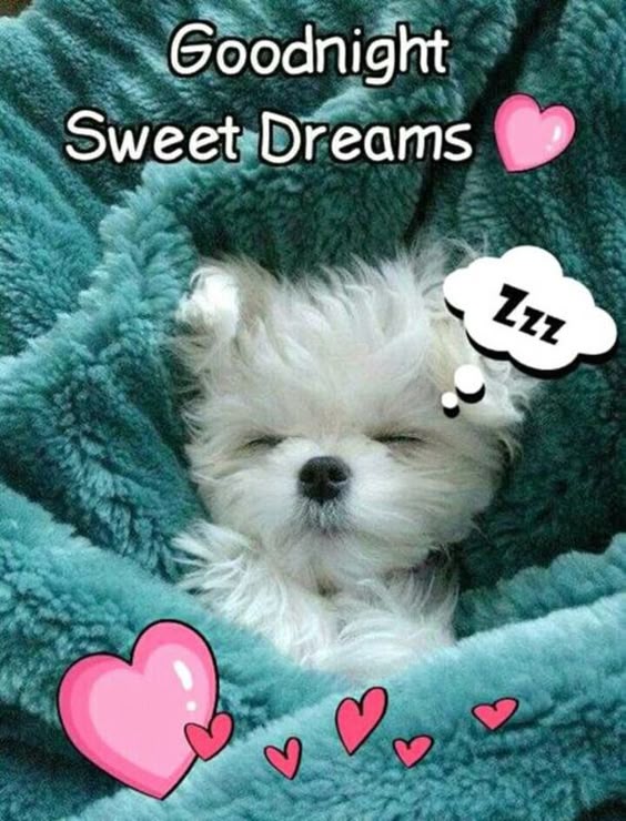 50 Best Good Night Quotes And Sayings