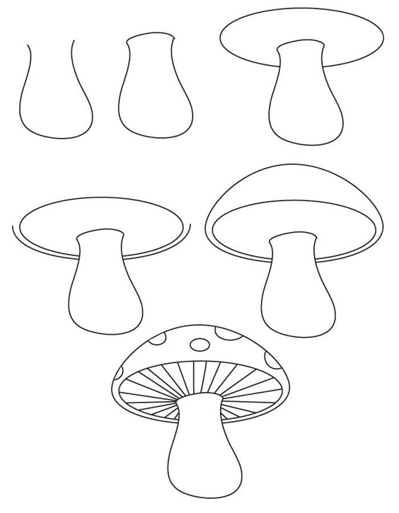 Learn how to draw a mushroom with simple step by step instructions ... Learn how to draw a mushroom with simple step by step instructions ...