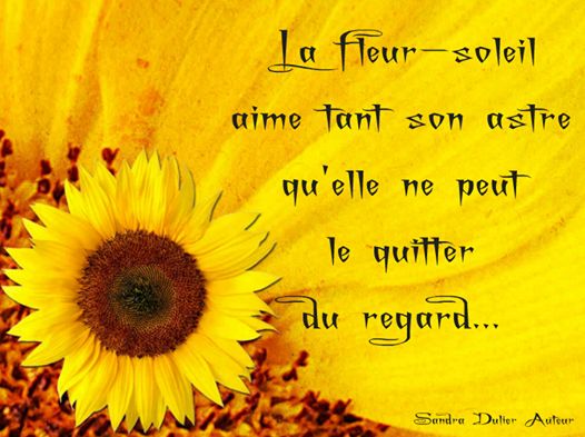 Pin On Belles Pensees