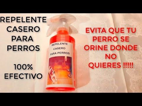 Pin En Remedios Caseros