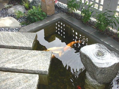 koi pond design service san diego la ca area pond design small koi pond koi pond