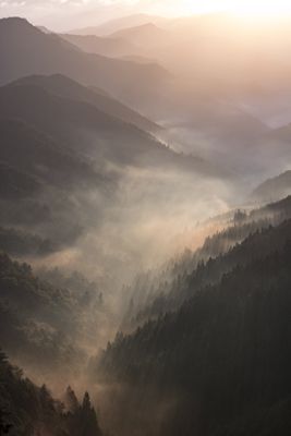 Download Free Mobile Phone Wallpaper Nature