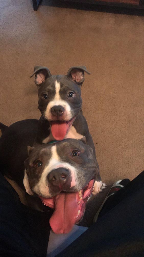 Like mother like son