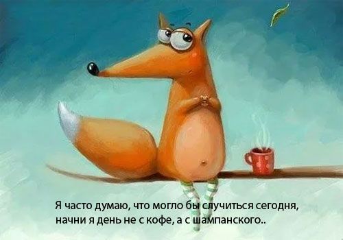 Лиса Фото Прикольные Лиса Фото Прикольные