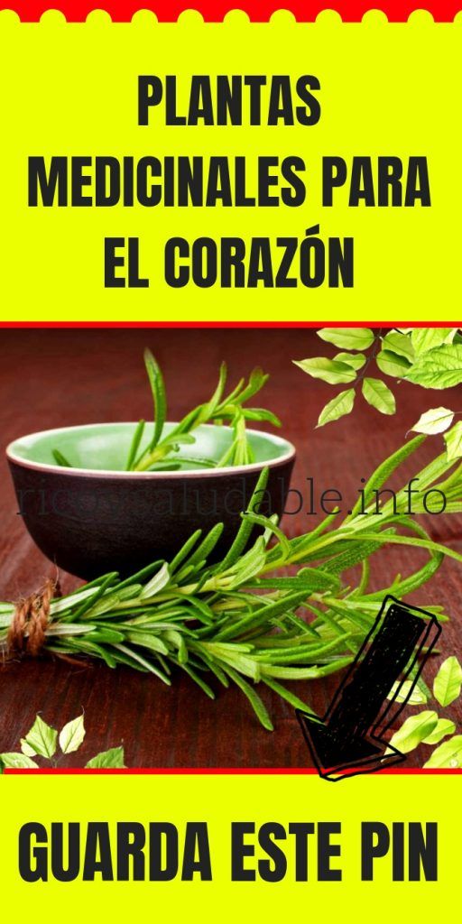 Plantas Medicinales Para El Corazón Ricoysaludable Info Plantas Medicinales Hierbas Curativas Remedios Naturales