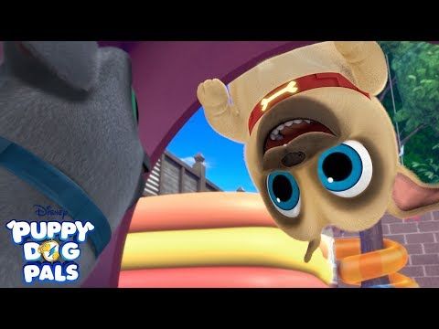 Amazon Com Disney Puppy Dog Pals Me Reader Electronic Reader With 8 Book Library Pi Kids 9781503752139 Bill Scollon Editors Of Phoenix International Publications Editors Of Phoenix International Publications Editors Of