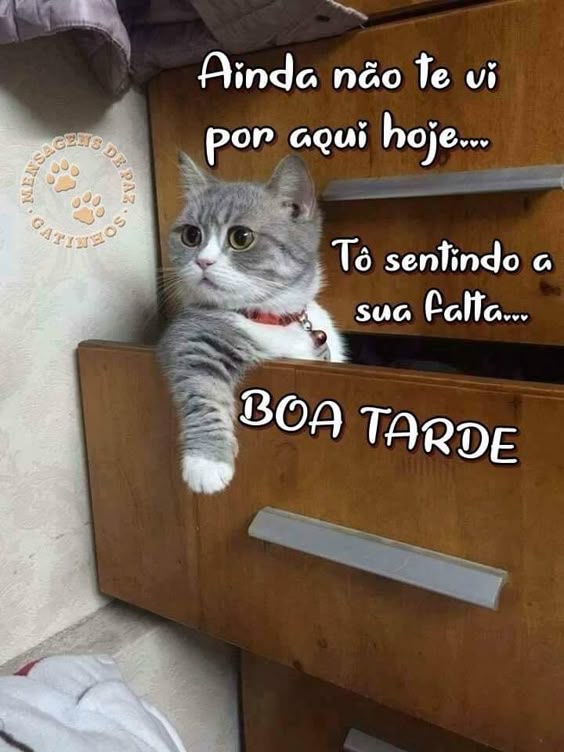 Ainda não te vi por aqui hoje… tô sentindo a sua falta.