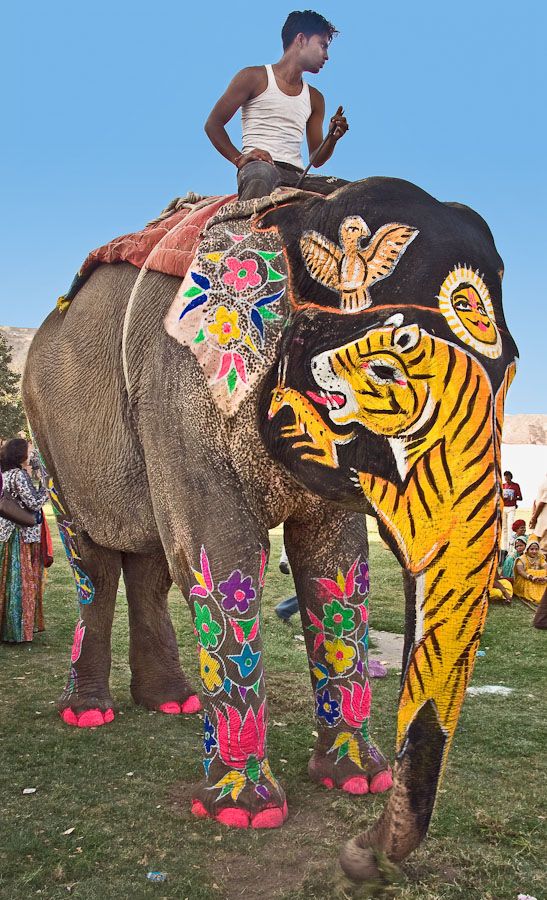 20 Historical Places In Rajasthan That Will Take You Back To The Glorious Past!