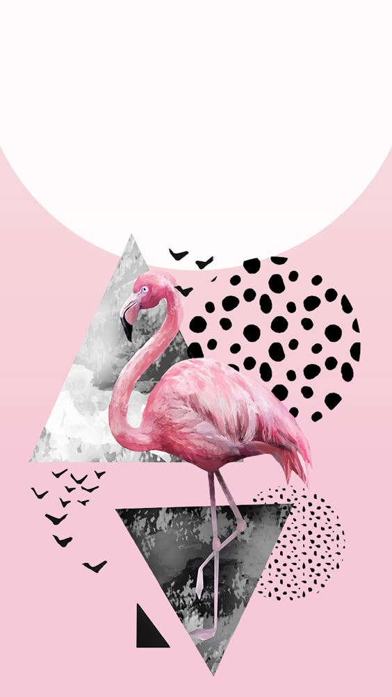 Wallpapers para o seu celular tema: Flamingos! Wallpapers de Flamingos para Celular (+10)
