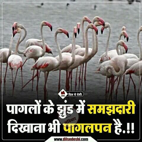 quotes-in-hindi-nature-photos