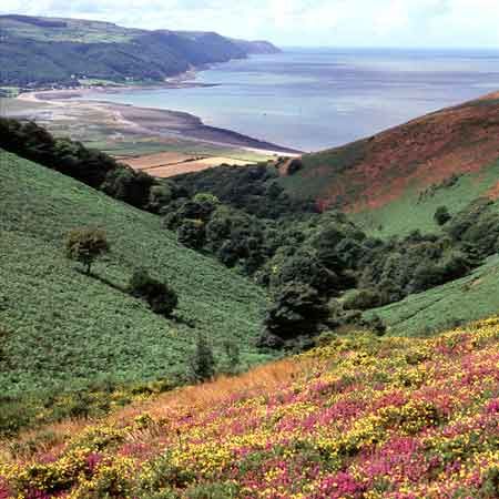 the county of somerset england somerset england homes england england