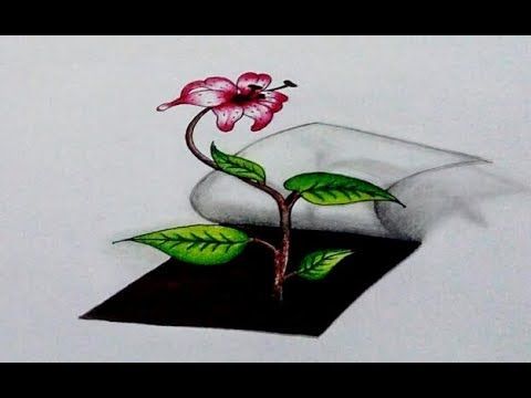 3d Art How To Draw A Flower Blooming Realistic In 3d Rose Hibiscus Step By Step Tutorial Youtub Flower Drawing Flower Line Drawings Flower Prints Art
