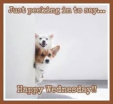 25 Happy Wednesday Memes That Will Make It a Little Easier to Get Through Hump Day