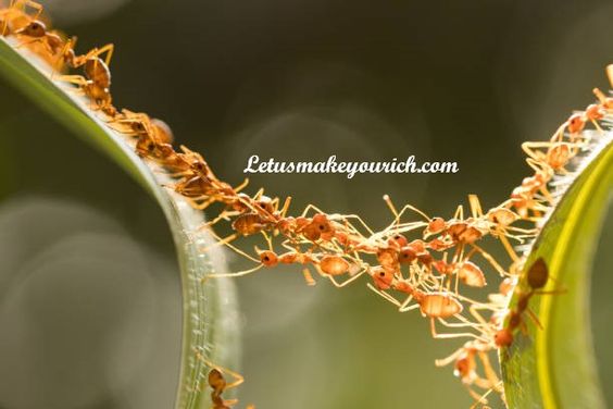 All good work is done the way ants do things: Little by little. ― Lafcadio Hearn
