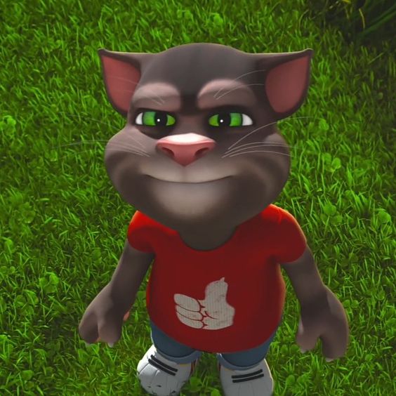 Talking tom and friend