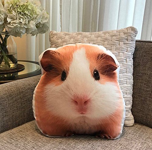 16x16 Retro Guinea Pig Themed Girls Birthday Designs 13 Year Old Cute Guinea Pig Birthday Girl 13th B-Day Throw Pillow Multicolor 16x16 Retro Guinea Pig Themed Girls Birthday Designs 13 Year Old Cute Guinea Pig Birthday Girl 13th B-Day Throw Pillow Multicolor