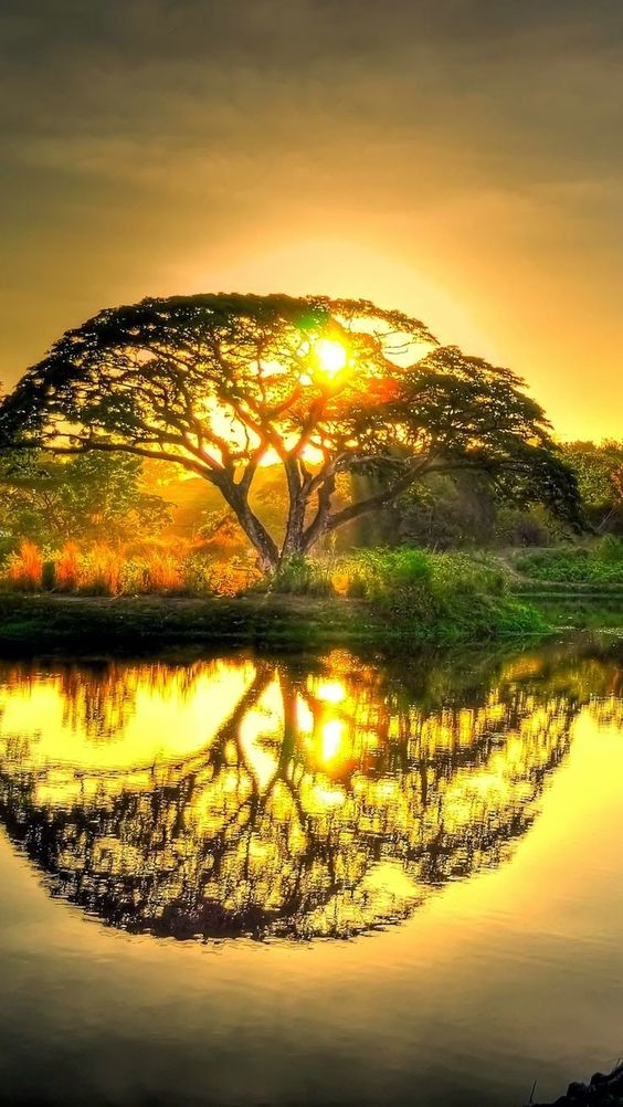 pictures-quotes-nature-photos