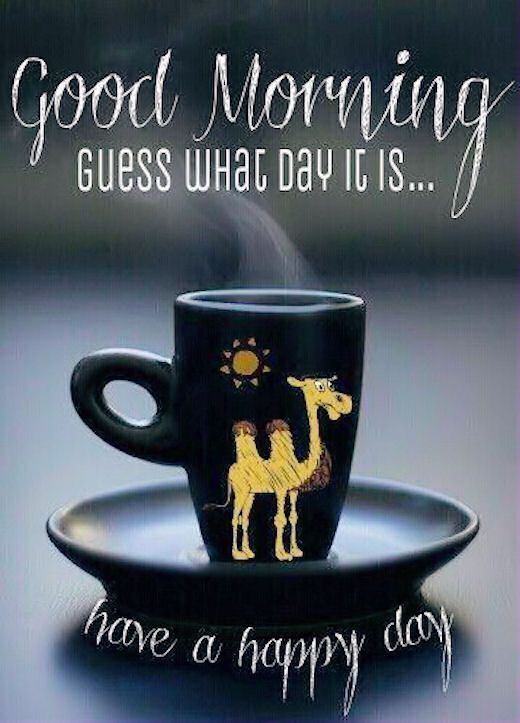 happy-wednesday