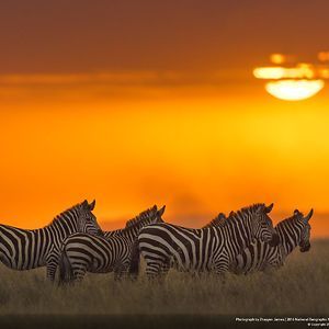 20+ Of The Best Nature Photos From 2016 National Geographic Photo Contest | Bored Panda