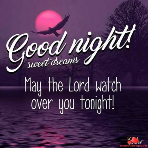 50 Best Good Night Quotes And Sayings