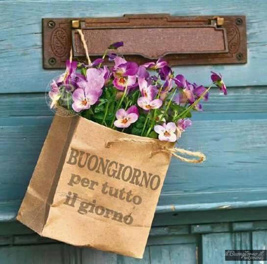 Buongiorno Jolie Carte De Voeux Merci Pour Ton Soutien Anniversaire Buongiorno Jolie Carte De Voeux Merci Pour Ton Soutien Anniversaire