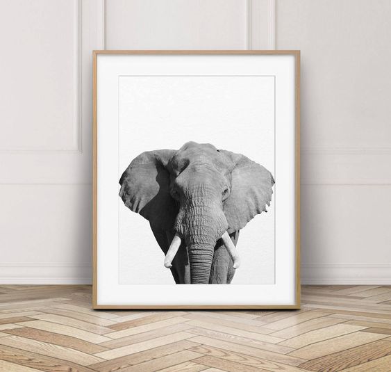 "> INSTANT DOWNLOAD: Elephant Print, African Safari Wall Art, Elephant Photo, Nursery Decor, Safari Animal Print, Black & White Animals, Kids Room Printable Art Print out this artwork from your home printer or local print shop to decorate your home or office. This file can be printed on size papers from 4\\"x6\\", 5\\"x7\\", 8\\"x10\\", 11\\"x14\\", 16\\"x20\\". You can use any paper you like (matte, textured, gloss etc) and any style frame to mount it to your wall. Makes great last minute gift. **