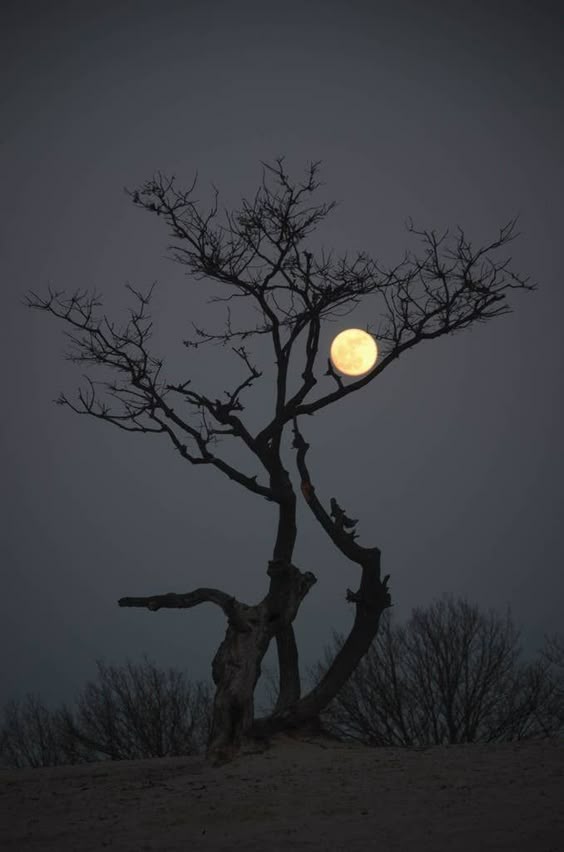 21 Breathtaking Images Of Moon That Will Make You Think If It\'s Real Or Not