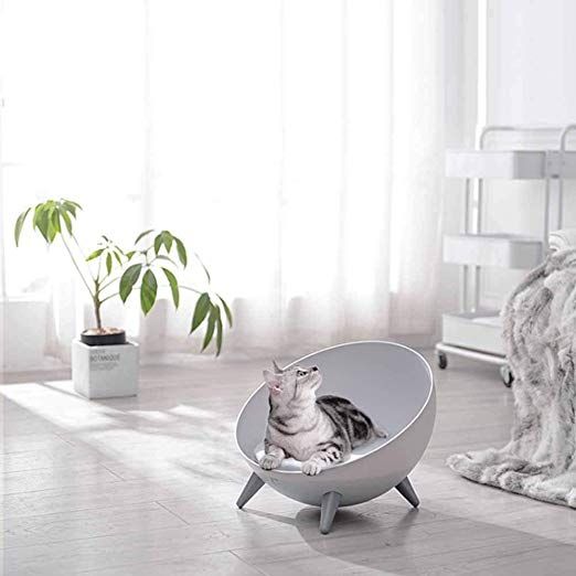 Duanyr Pet Nest Nid Pour Animal De Compagnie Lit Pour Chat Creatif Hemispherique Sur Et Durable Creatif Hemisp Lit Pour Chat Litiere Chat Animaux De Compagnie Duanyr Pet Nest Nid Pour Animal De Compagnie Lit Pour Chat Creatif Hemispherique Sur Et Durable Creatif Hemisp Lit Pour Chat Litiere Chat Animaux De Compagnie