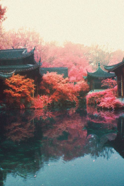 Pin De Steaven Walter En Japanese Inspiration Fotografia Paisaje Viaje A Japón Kyoto Japón