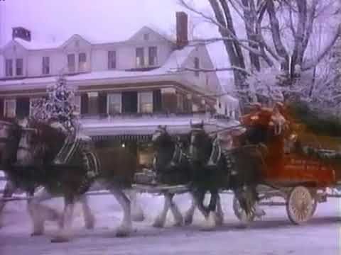 Classic Budweiser Clydesdales Christmas Commercial Youtube With