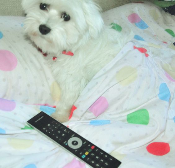 watching TV 😀