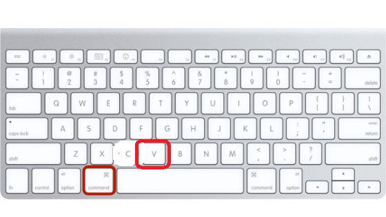 How To Copy Paste In Macbook